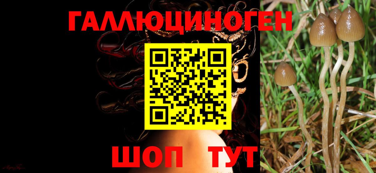 Воркута  Галлюциногенные грибы мухоморы  Вход с VPN  Галлюциногенные грибы MAGIC MUSHROOMS 